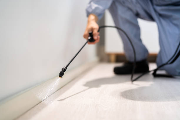 Licensed Mosquito Control service in Fort Stockton, TX - Show Me Pest Control