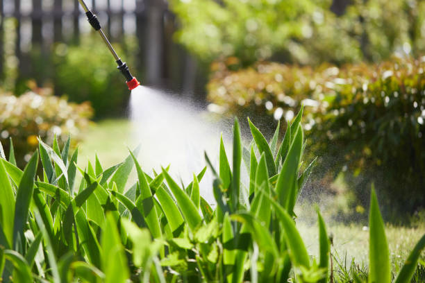 24/7 Emergency Mosquito Control experts in Fort Stockton, TX
