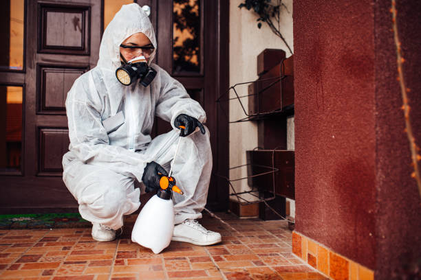 Reliable Mosquito Control contractor in Fort Stockton, TX by Show Me Pest Control